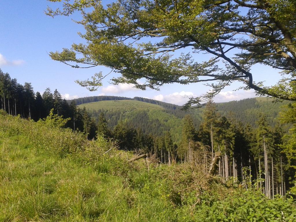 Pension Haus Waldfrieden, Meinecardplus Inklusive Віллінген Екстер'єр фото
