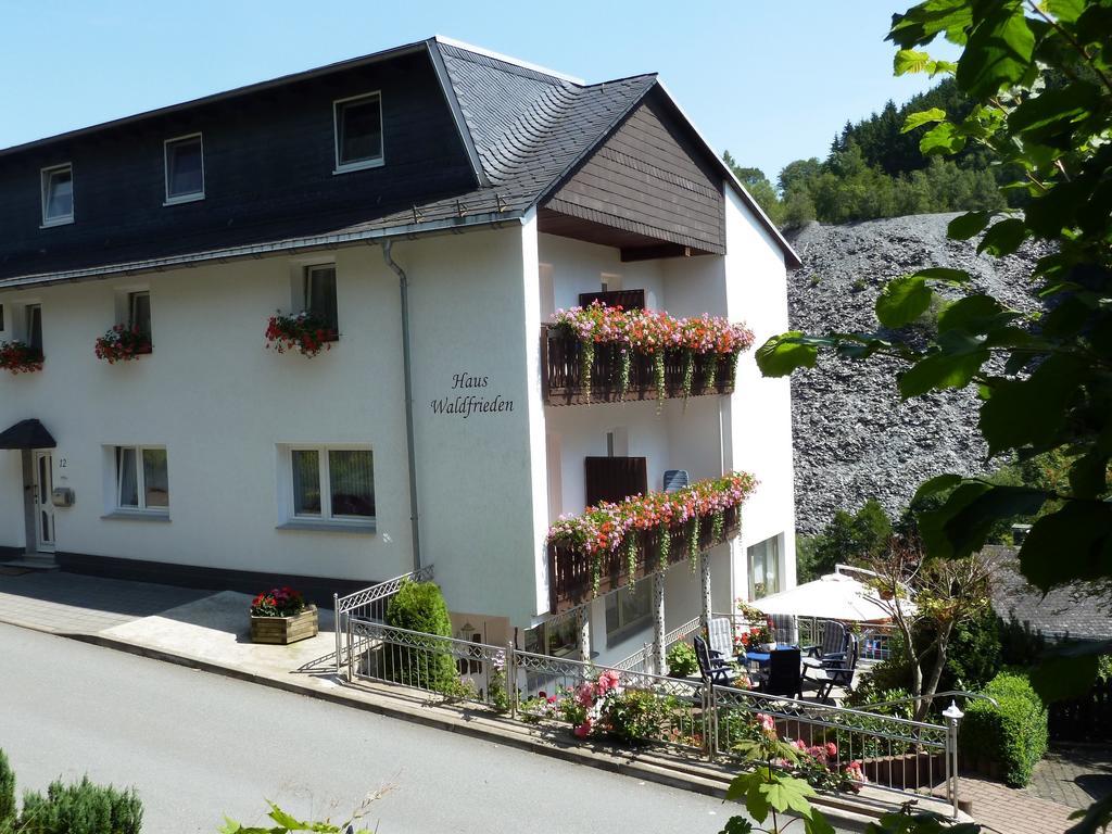 Pension Haus Waldfrieden, Meinecardplus Inklusive Віллінген Екстер'єр фото