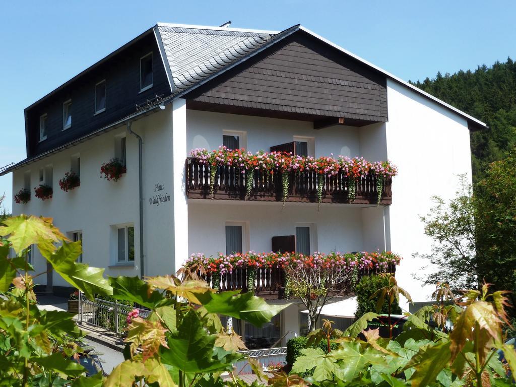 Pension Haus Waldfrieden, Meinecardplus Inklusive Віллінген Екстер'єр фото
