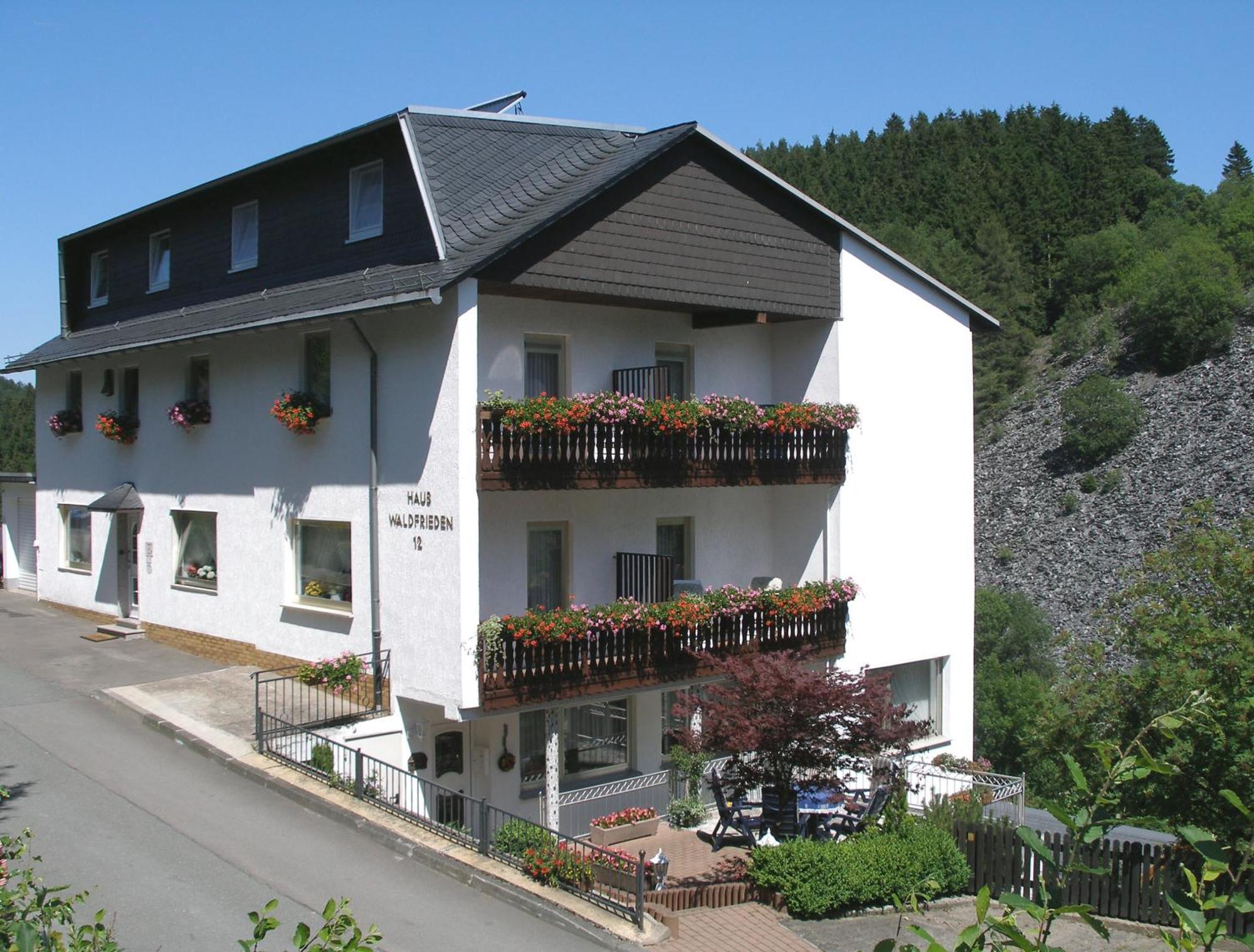 Pension Haus Waldfrieden, Meinecardplus Inklusive Віллінген Екстер'єр фото