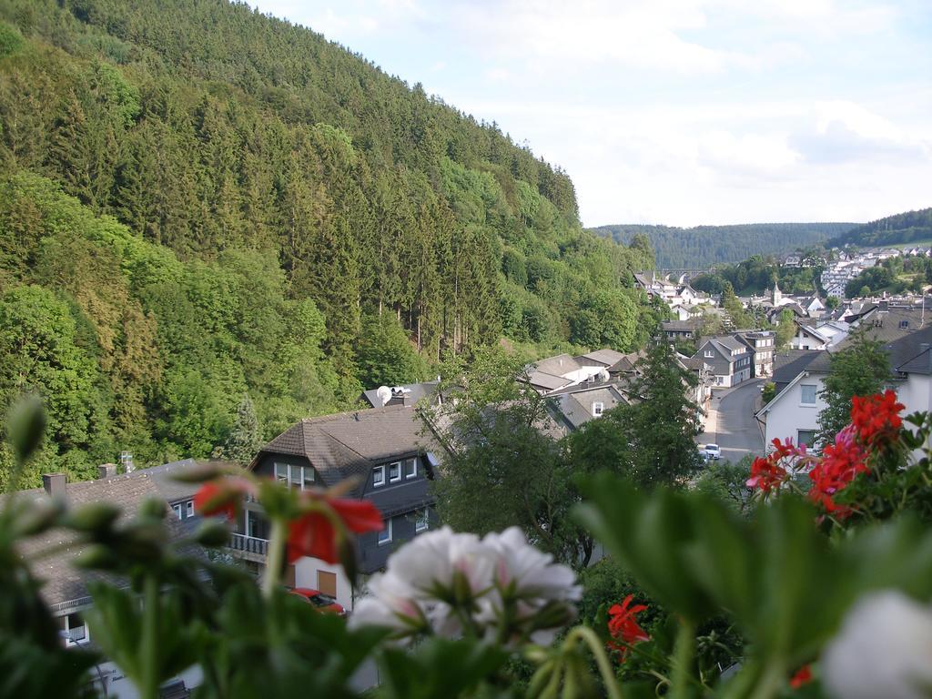 Pension Haus Waldfrieden, Meinecardplus Inklusive Віллінген Екстер'єр фото