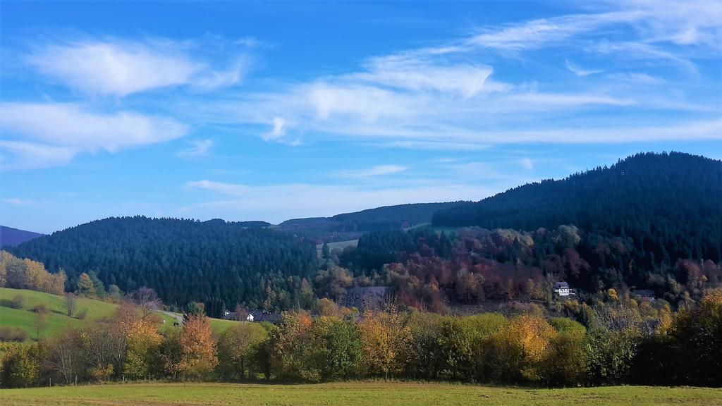 Pension Haus Waldfrieden, Meinecardplus Inklusive Віллінген Екстер'єр фото