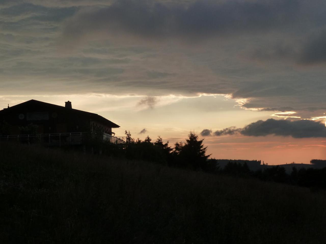 Pension Haus Waldfrieden, Meinecardplus Inklusive Віллінген Екстер'єр фото