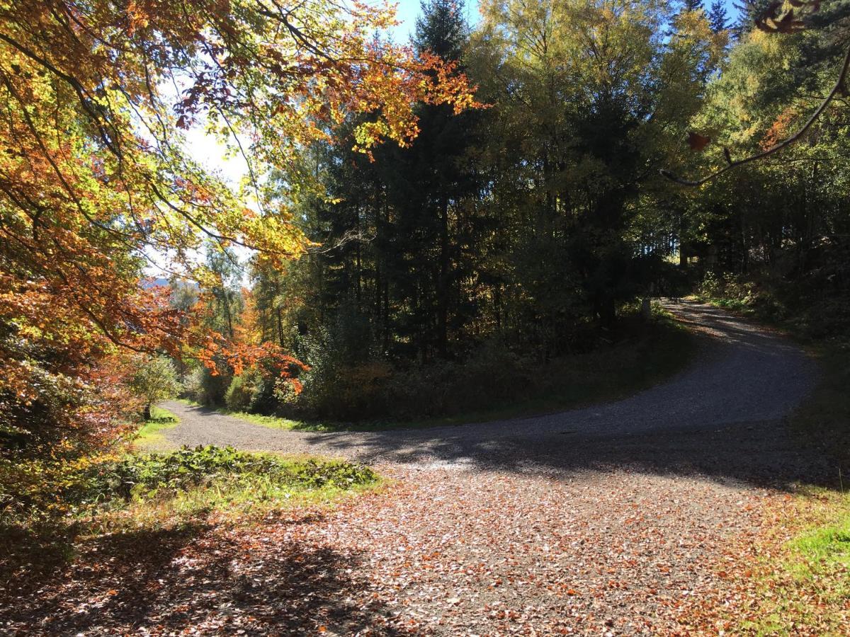 Pension Haus Waldfrieden, Meinecardplus Inklusive Віллінген Екстер'єр фото